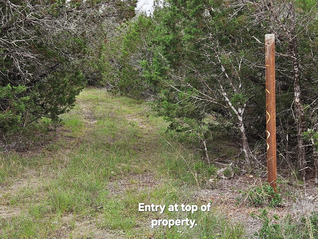 main property photo 13