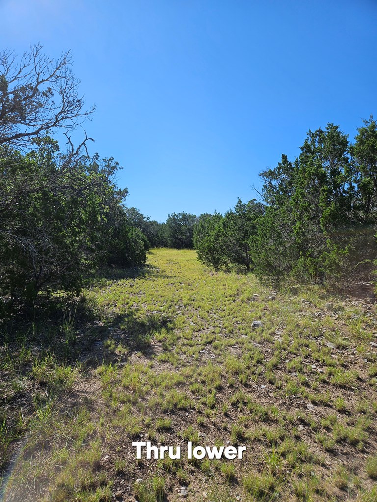 main property photo 16