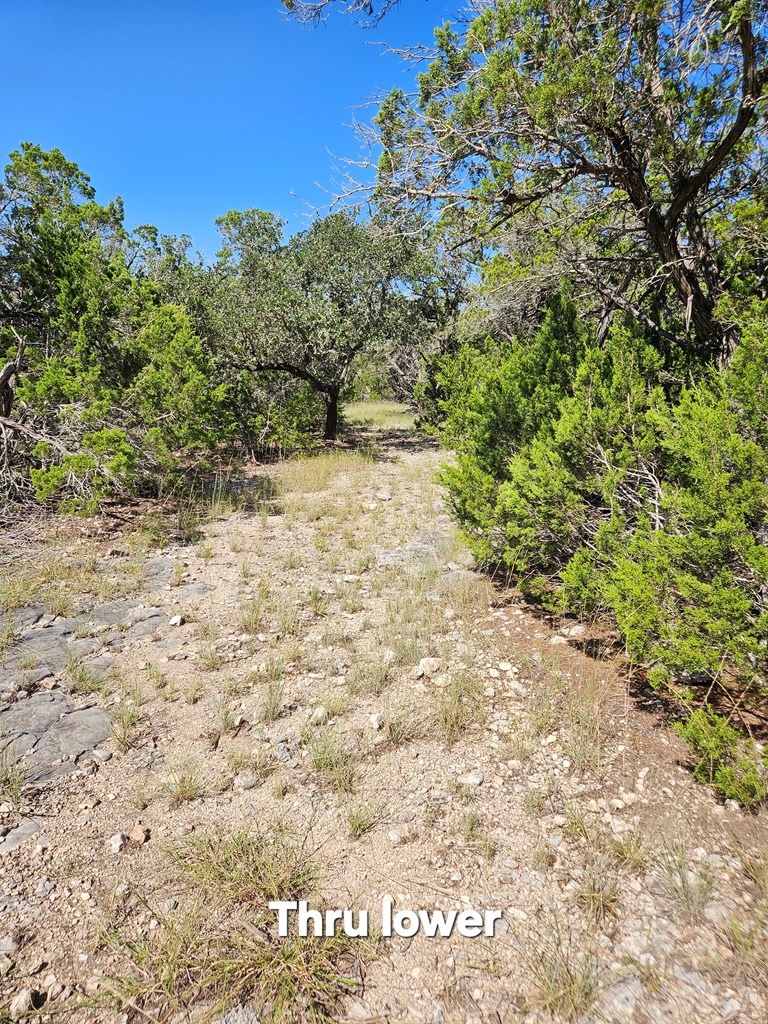 main property photo 19