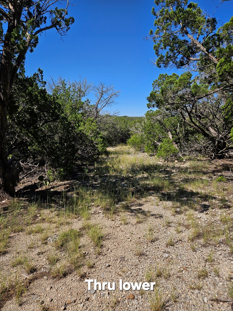 main property photo 21