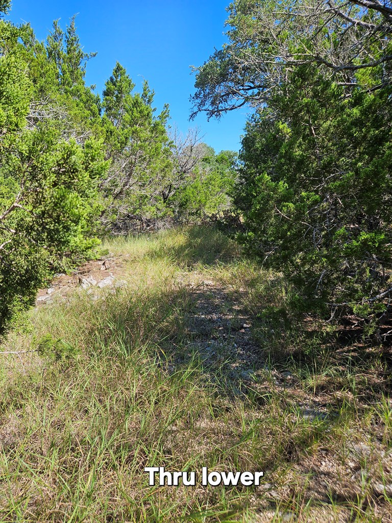 main property photo 24