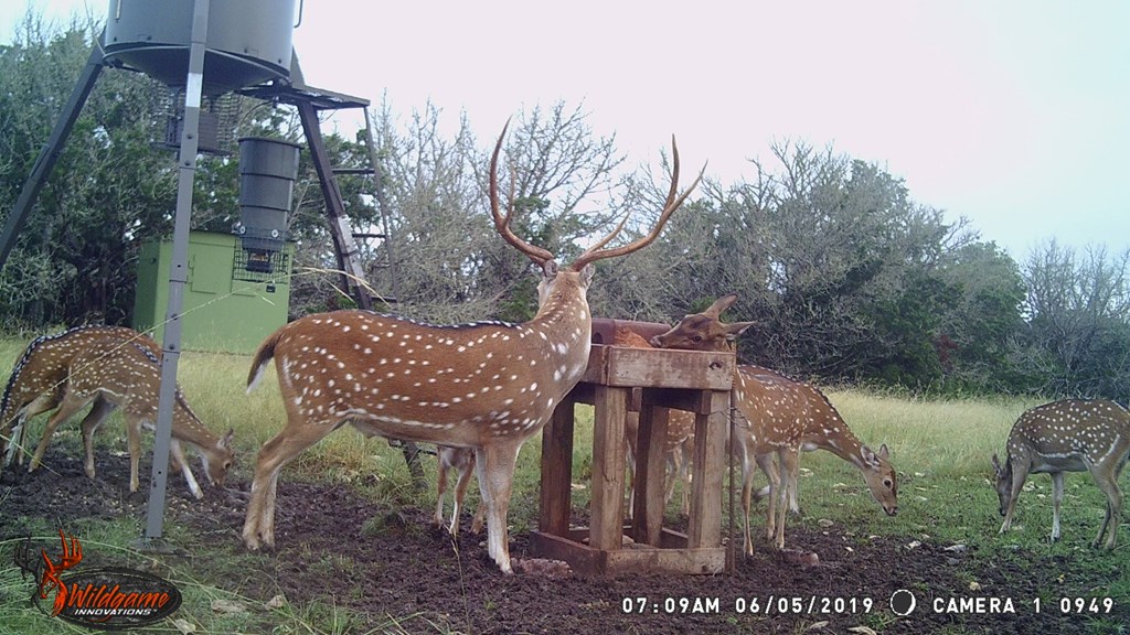 main property photo 41