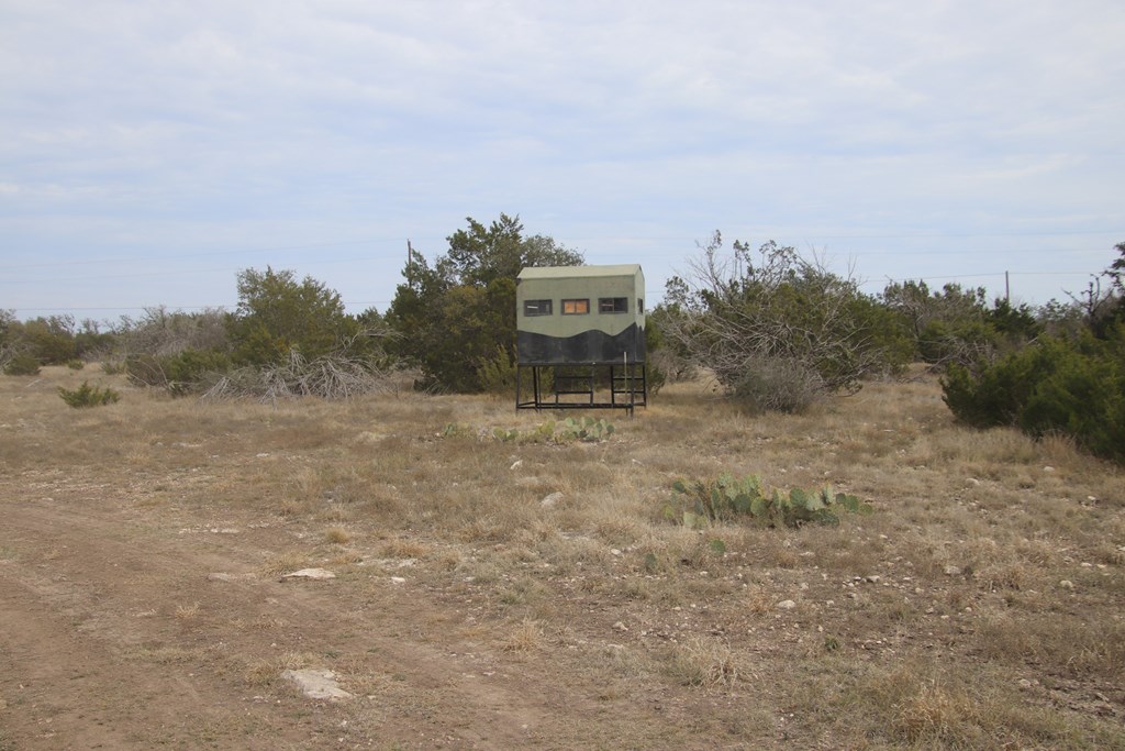 main property photo 11