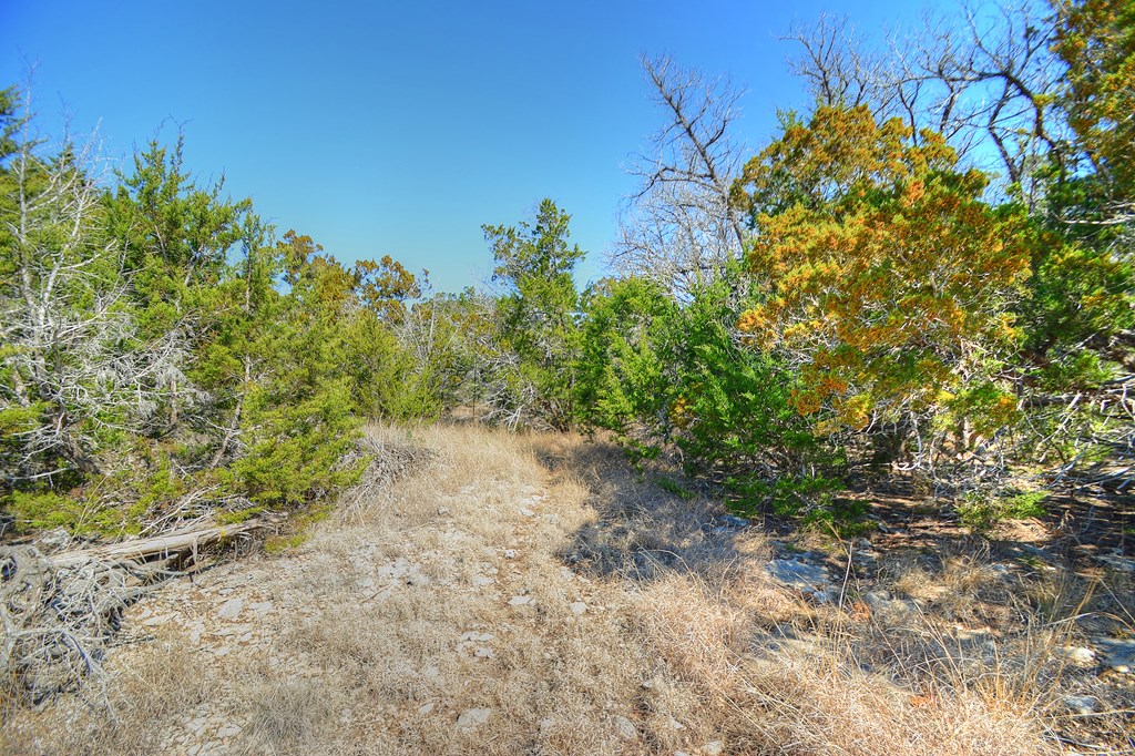 main property photo 24