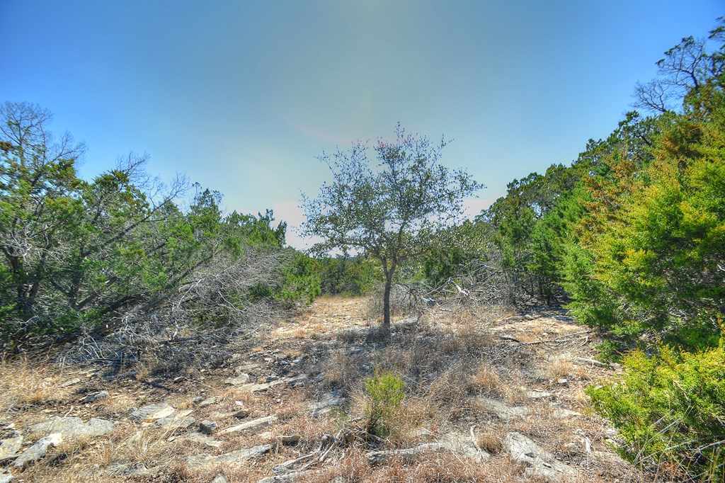 main property photo 25
