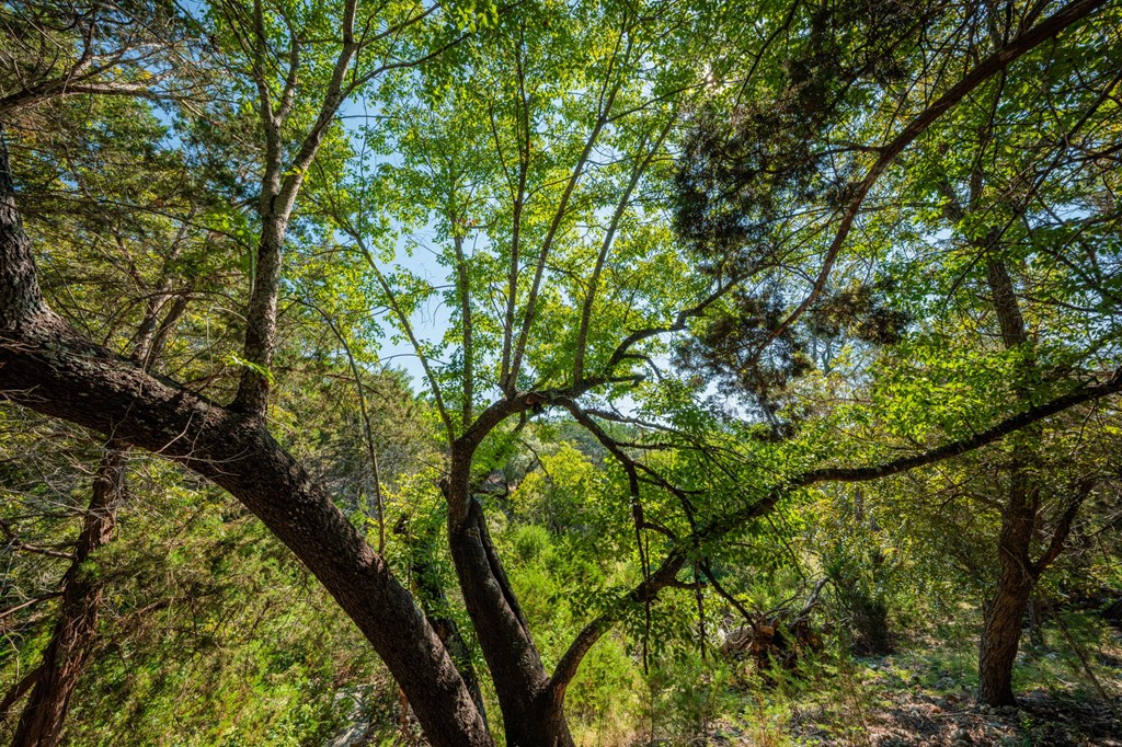 main property photo 77