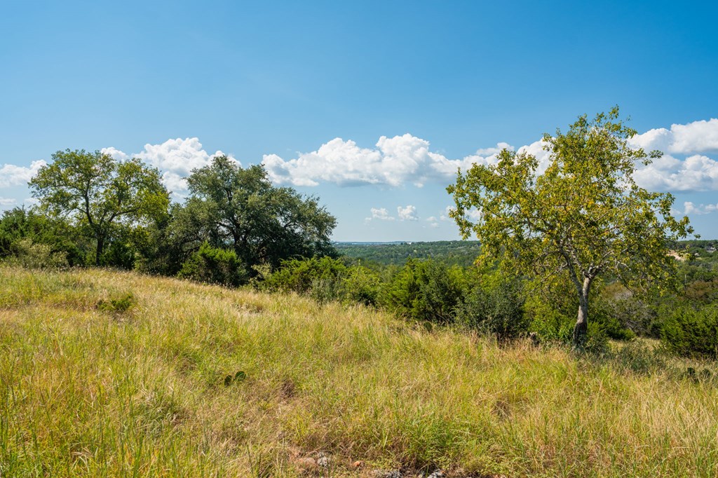 main property photo 79