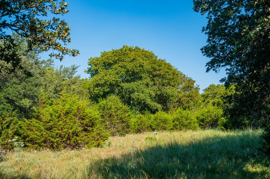 main property photo 73