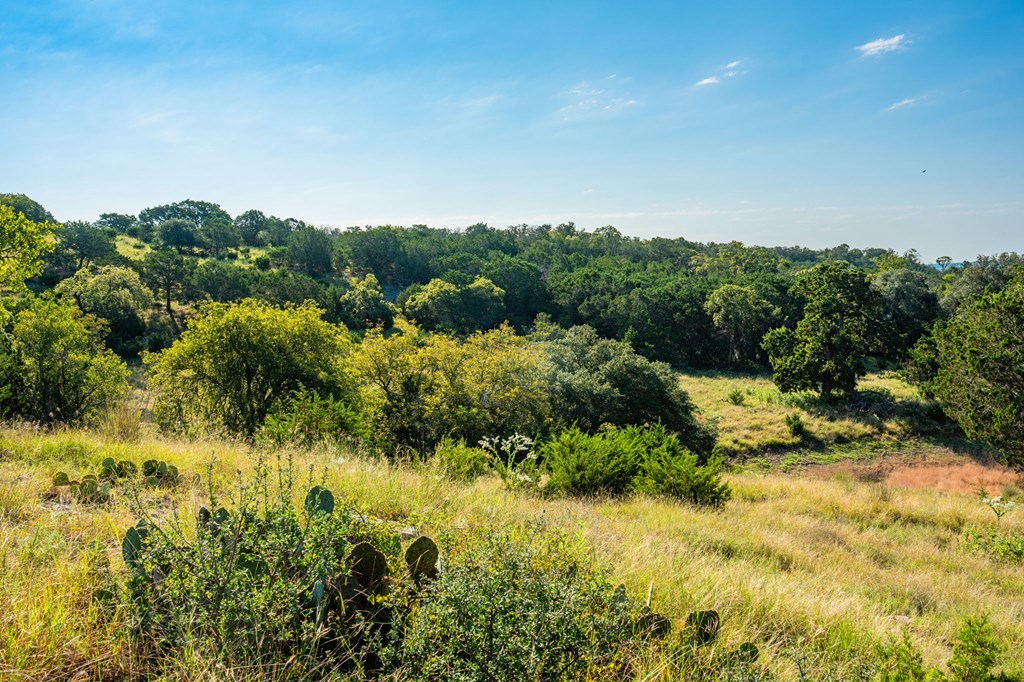 main property photo 74