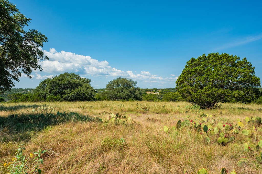main property photo 81