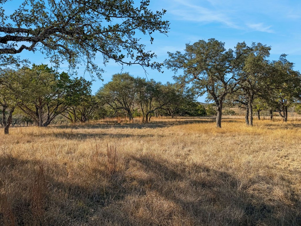 main property photo 65