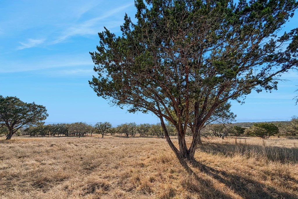 main property photo 67