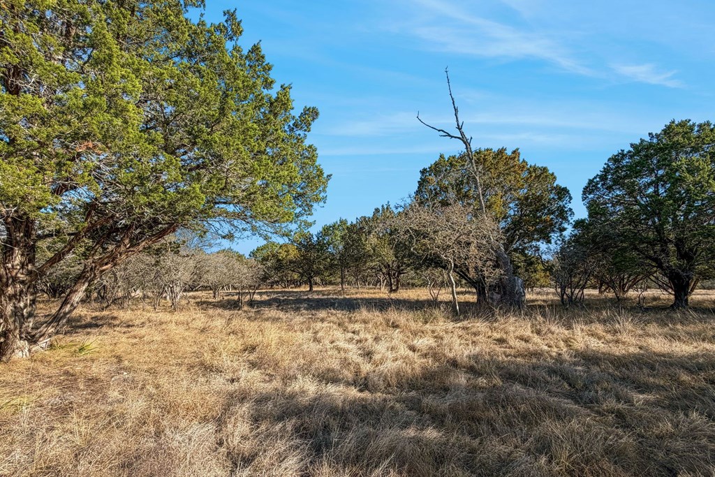 main property photo 68