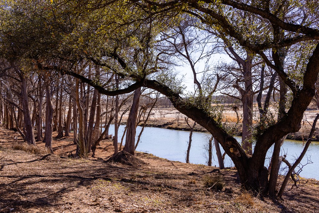 main property photo 58