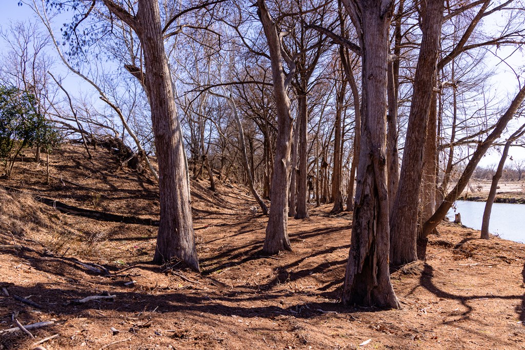 main property photo 63