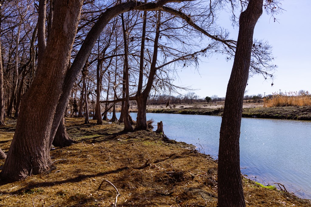 main property photo 67