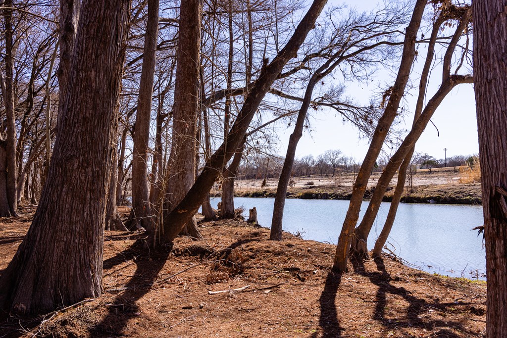 main property photo 64