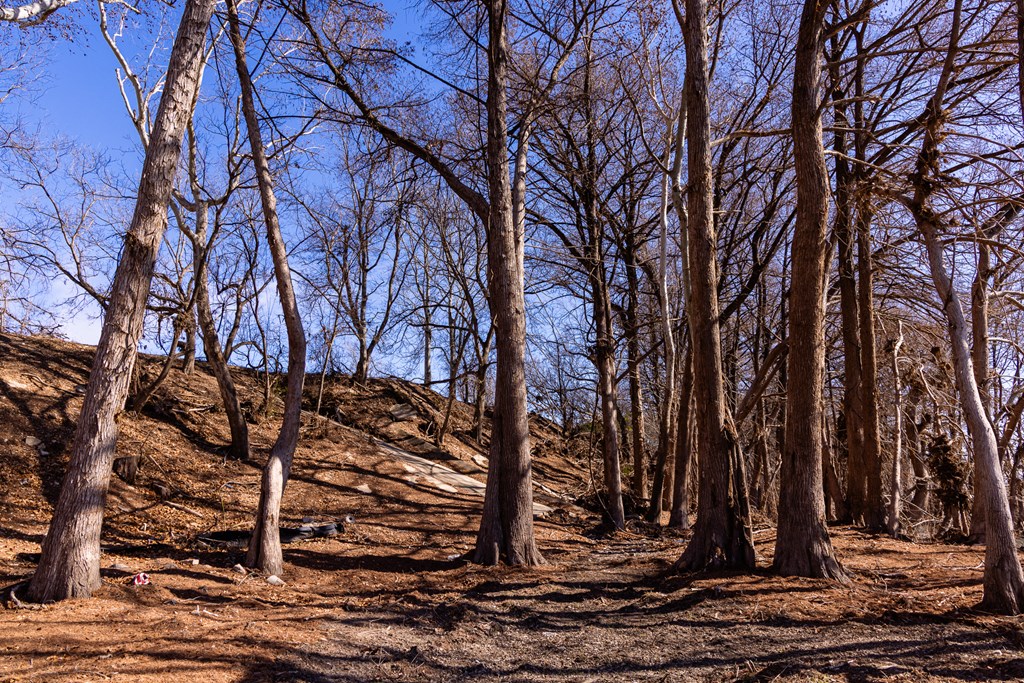 main property photo 68