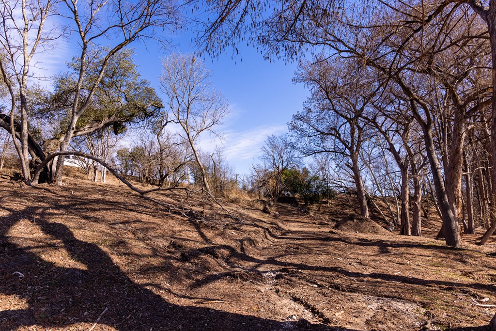 main property photo 77