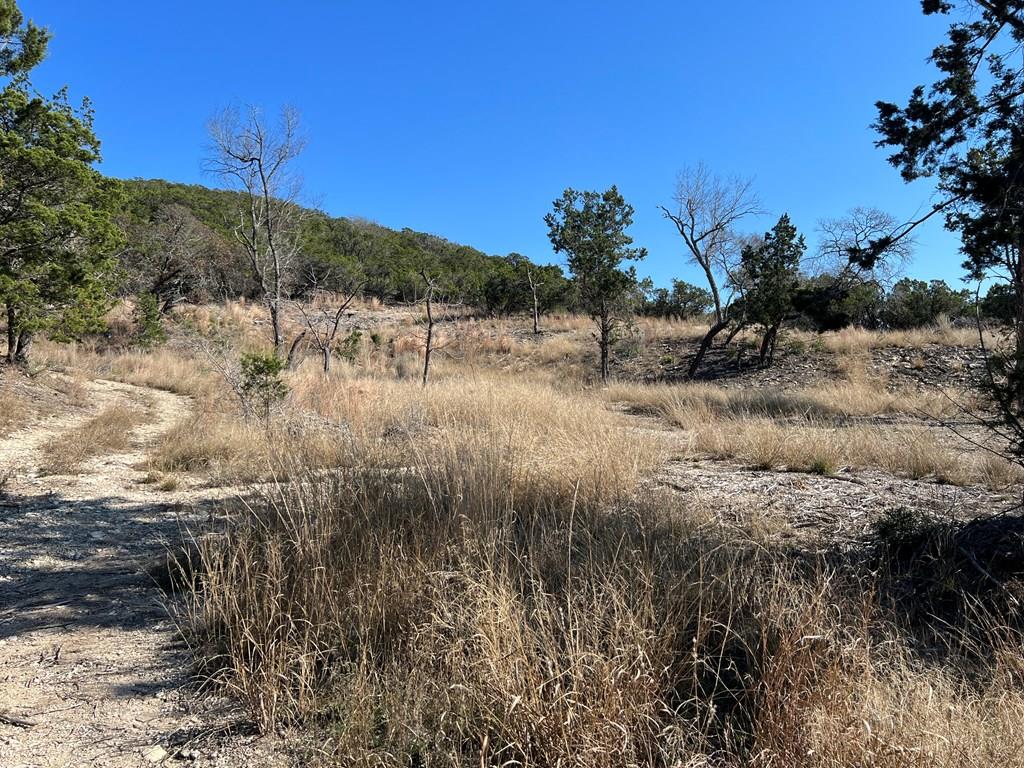 main property photo 19