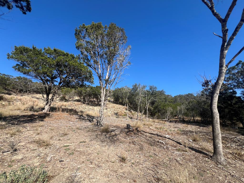 main property photo 24