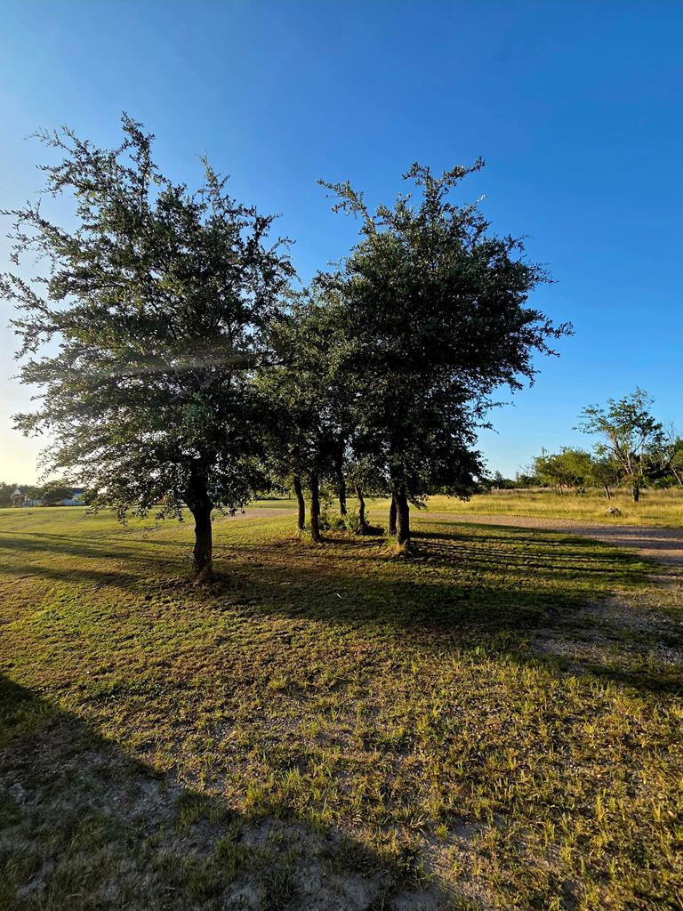 main property photo 44