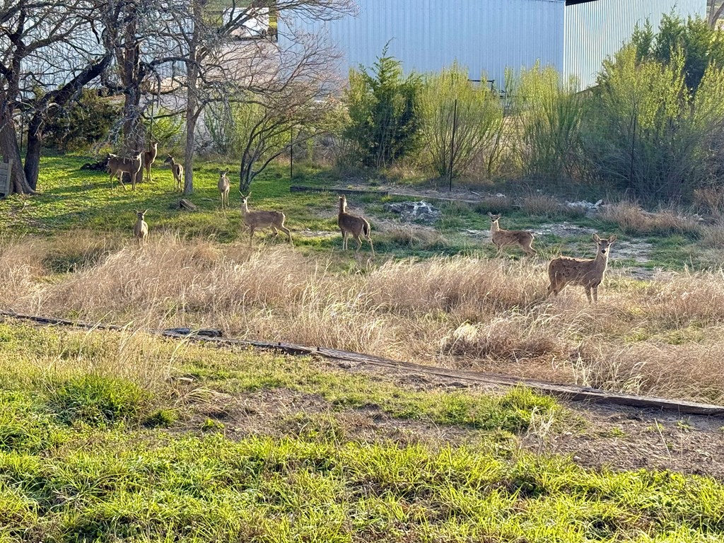 main property photo 14