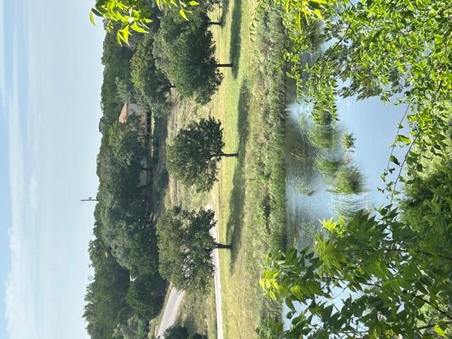 main property photo 72