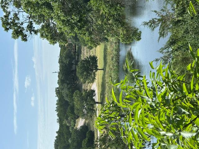 main property photo 74