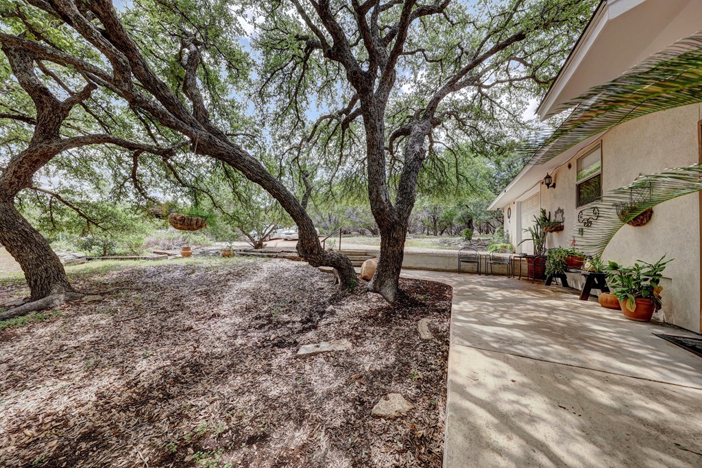 main property photo 54