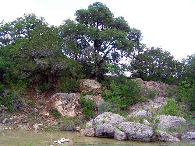 main property photo 38