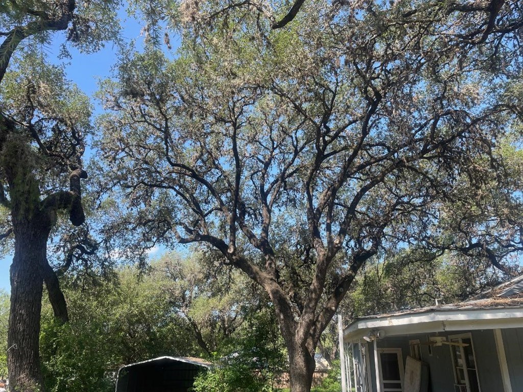 main property photo 12