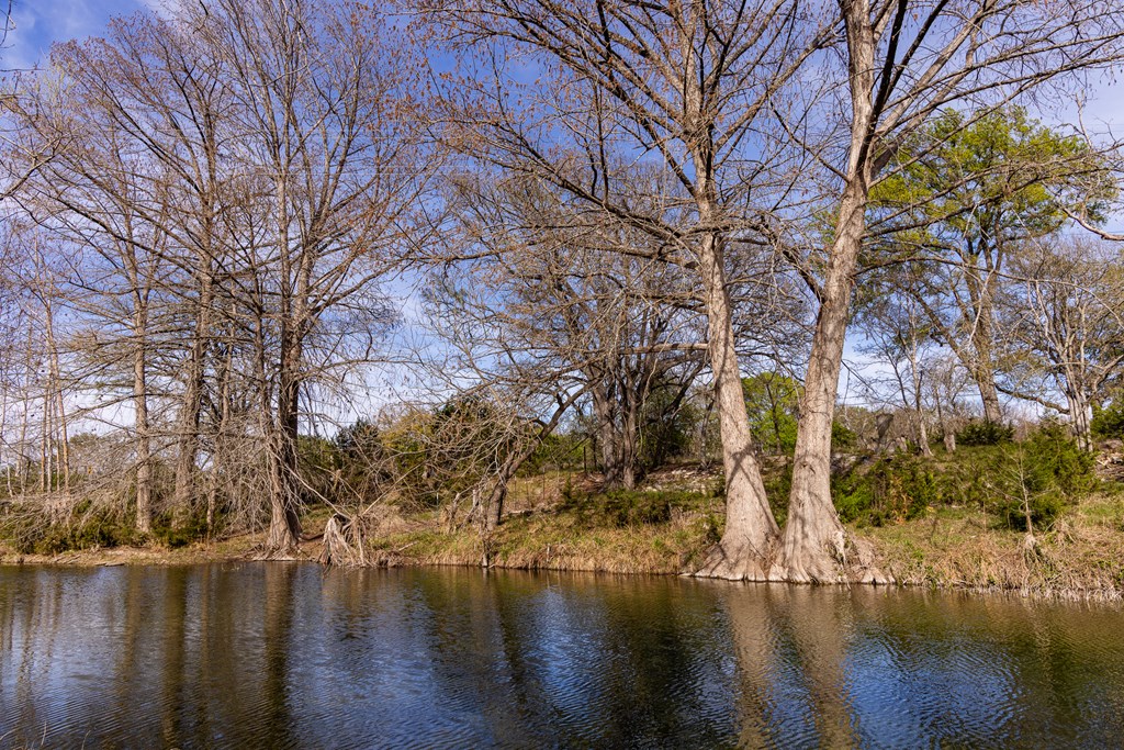 main property photo 51