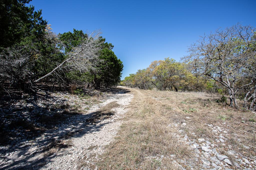 main property photo 56