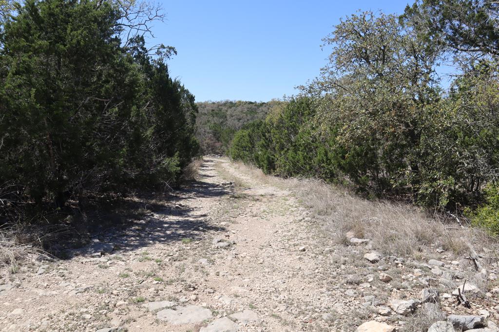 main property photo 38