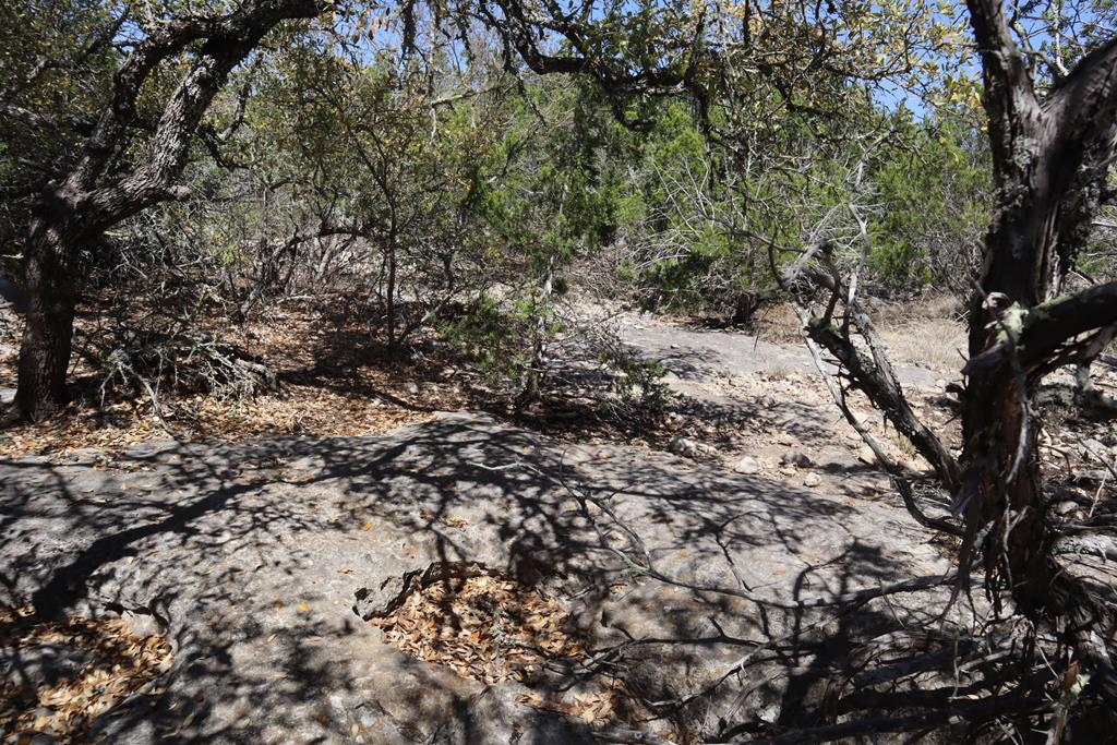main property photo 39