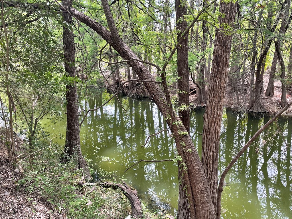 main property photo 37