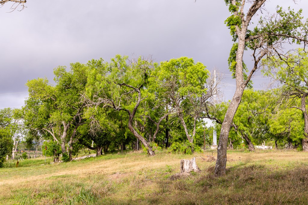 main property photo 43