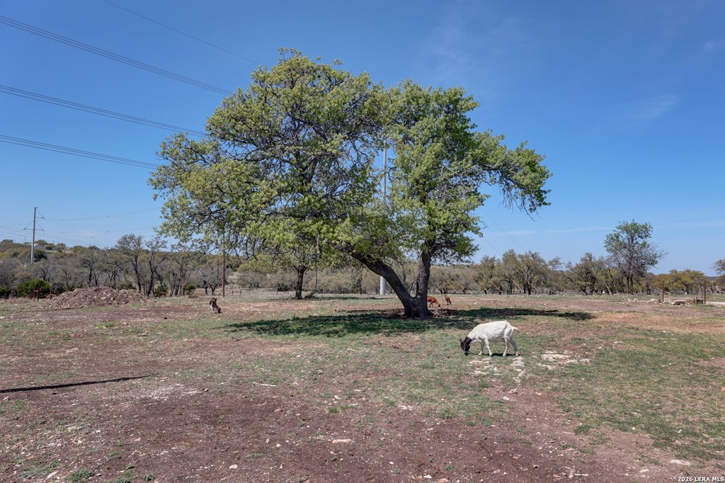 main property photo 34