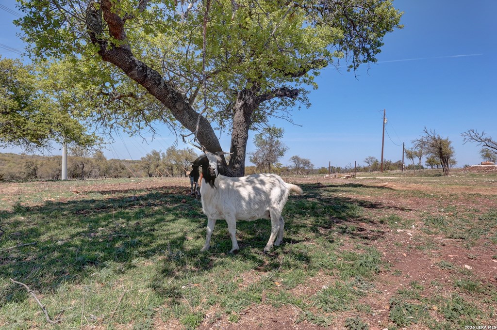 main property photo 35