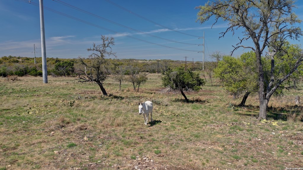main property photo 49