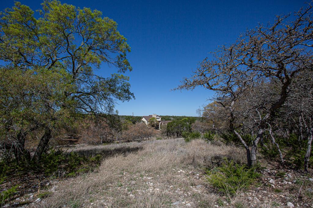 main property photo 54