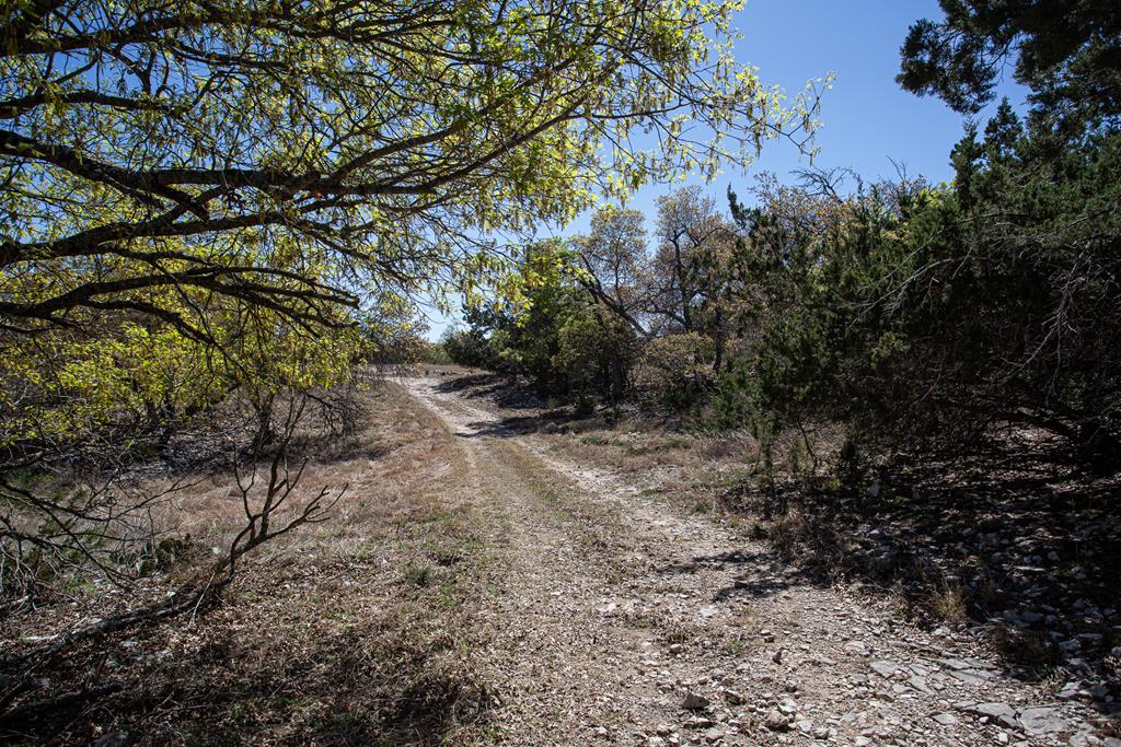 main property photo 55