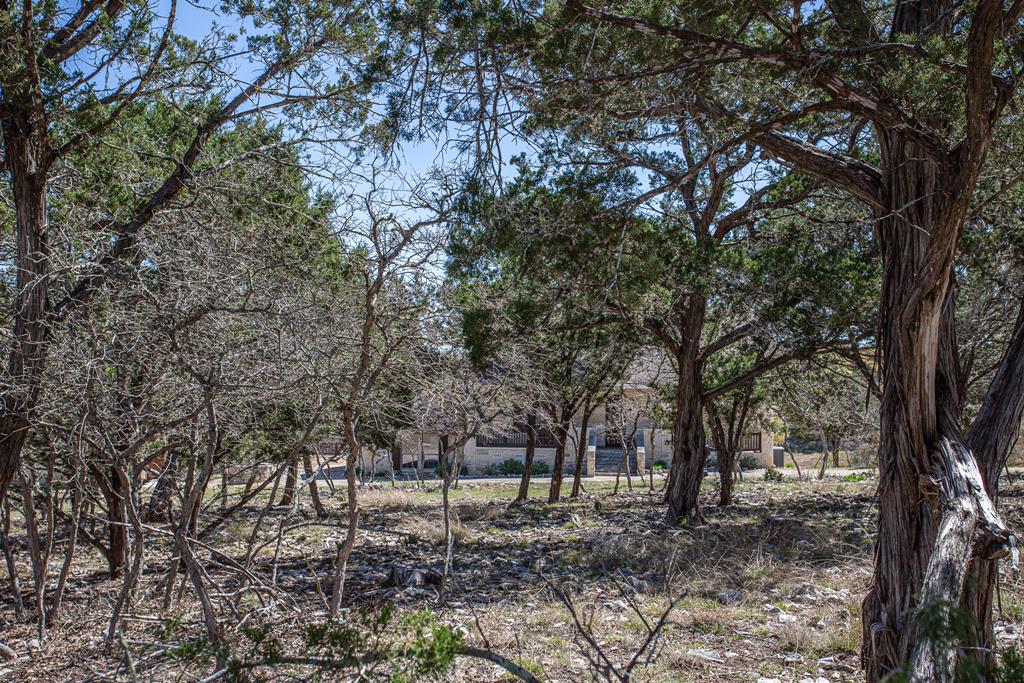 main property photo 57
