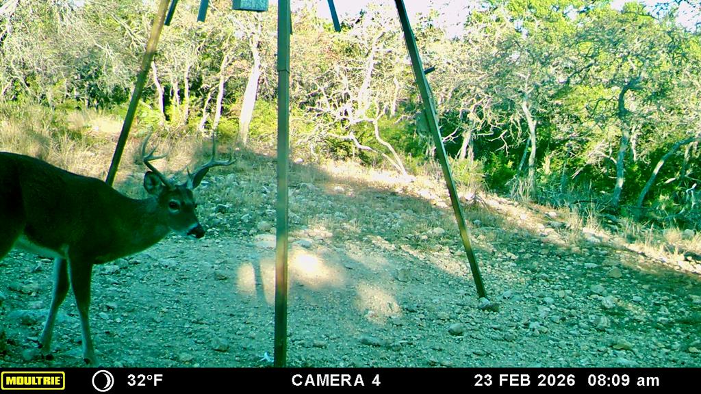 main property photo 50