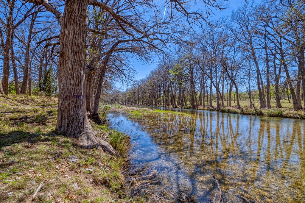 main property photo 39