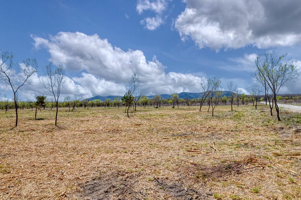 main property photo 58