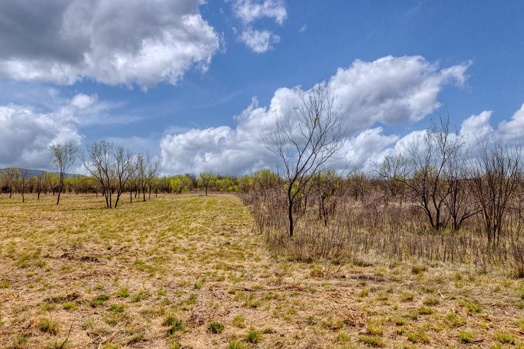 main property photo 50