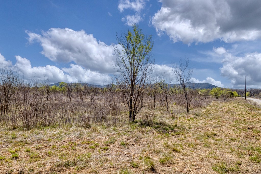 main property photo 51