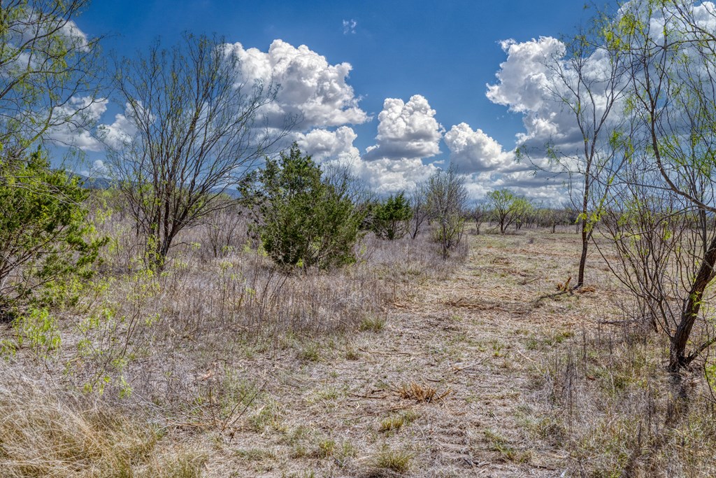 main property photo 52